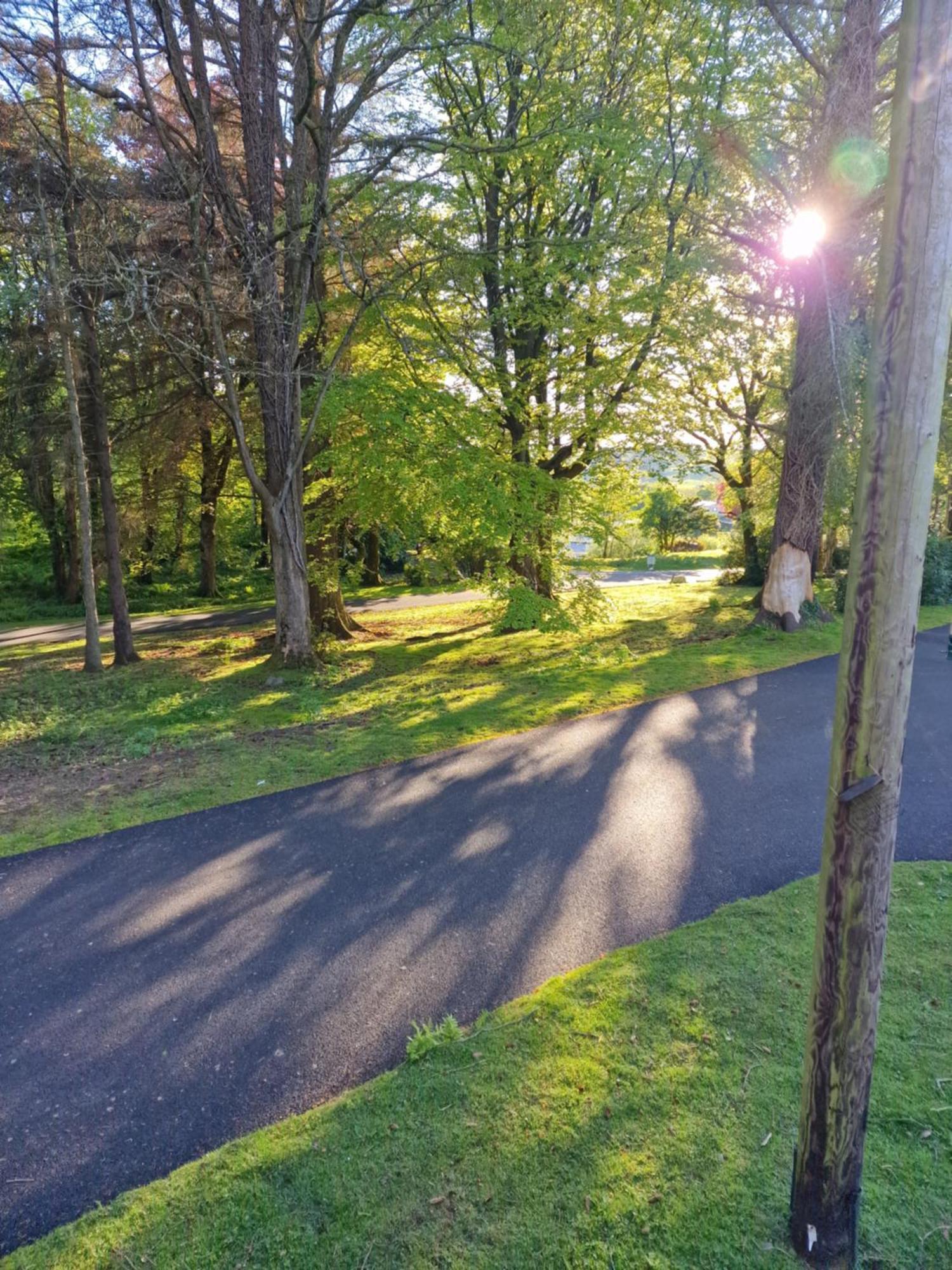 The Forest Cabin Holiday Home 15 Ballantrae Buitenkant foto